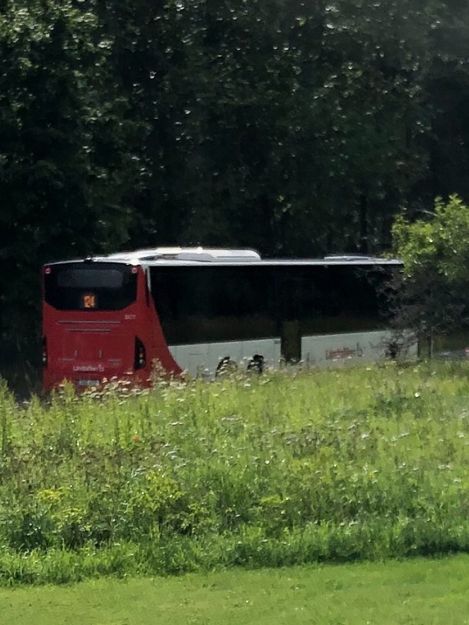 Denna bild har ett alt-attribut som är tomt. Dess filnamn är img_1552.jpg